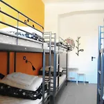 Hostel Mio *